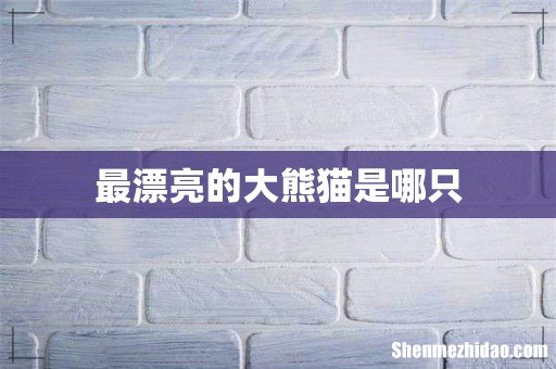 最漂亮的大熊猫是哪只