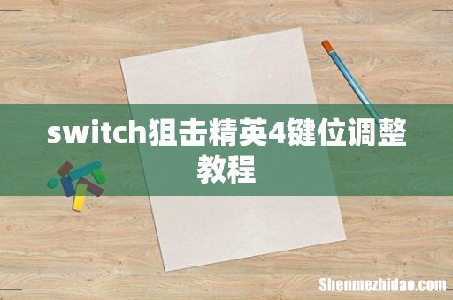switch狙击精英4键位调整教程