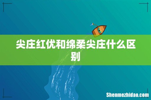 尖庄红优和绵柔尖庄什么区别
