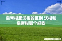 皇帝柑跟沃柑的区别 沃柑和皇帝柑哪个好吃