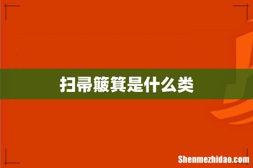 扫帚簸箕是什么类