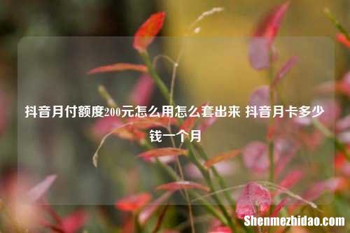 抖音月付额度200元怎么用怎么套出来 抖音月卡多少钱一个月