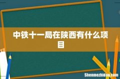 中铁十一局在陕西有什么项目