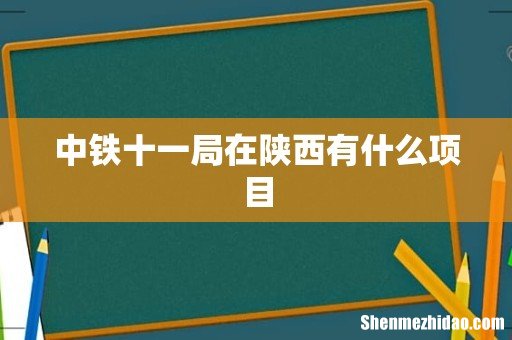 中铁十一局在陕西有什么项目