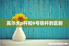 高尔夫p杆和9号铁杆的区别