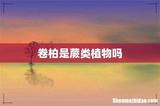 卷柏是蕨类植物吗