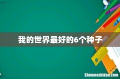 我的世界最好的6个种子