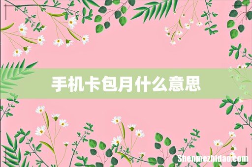 手机卡包月什么意思