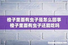 橙子里面有虫子是怎么回事 橙子里面有虫子还能吃吗