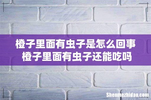橙子里面有虫子是怎么回事 橙子里面有虫子还能吃吗