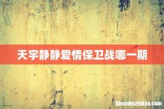 天宇静静爱情保卫战哪一期