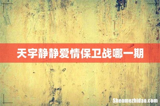 天宇静静爱情保卫战哪一期