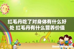 红毛丹吃了对身体有什么好处 红毛丹有什么营养价值