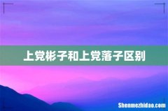 上党彬子和上党落子区别