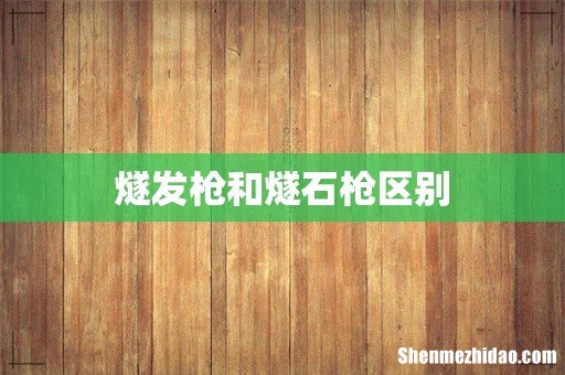 燧发枪和燧石枪区别