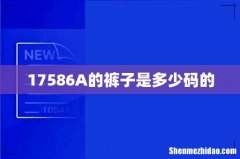 17586A的裤子是多少码的