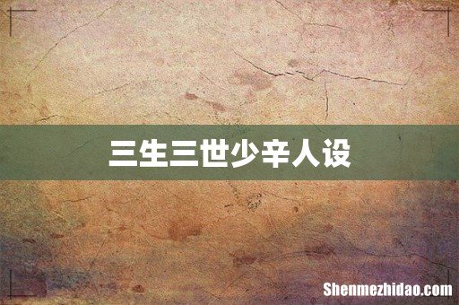 三生三世少辛人设