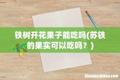 苏铁的果实可以吃吗？ 铁树开花果子能吃吗