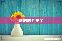 雄赳赳几岁了
