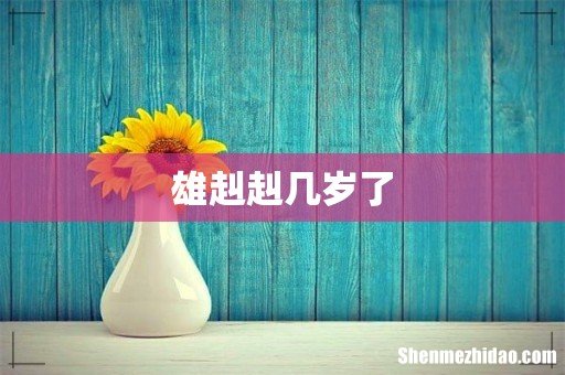 雄赳赳几岁了