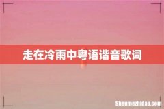 走在冷雨中粤语谐音歌词