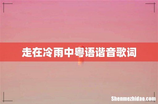 走在冷雨中粤语谐音歌词