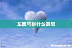 车牌号是什么意思