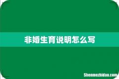 非婚生育说明怎么写