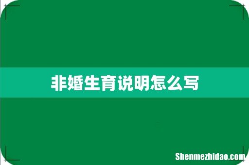 非婚生育说明怎么写