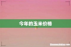 今年的玉米价格