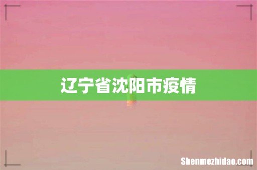 辽宁省沈阳市疫情