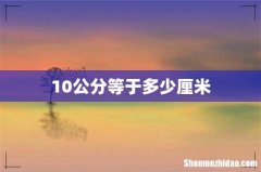 10公分等于多少厘米
