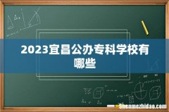 2023宜昌公办专科学校有哪些