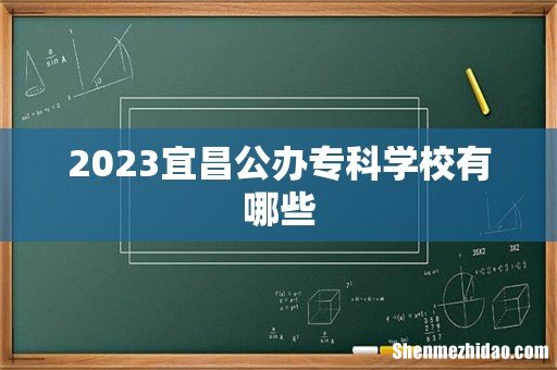 2023宜昌公办专科学校有哪些