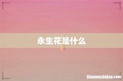 永生花是什么