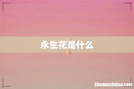 永生花是什么