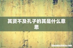 其贤不及孔子的其是什么意思