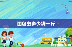 面包虫多少钱一斤