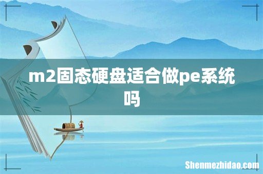 m2固态硬盘适合做pe系统吗