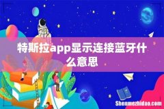 特斯拉app显示连接蓝牙什么意思