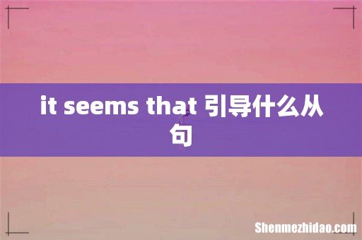 it seems that 引导什么从句