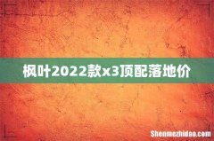 枫叶2022款x3顶配落地价