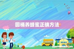 圆桶养蜂蜜正确方法