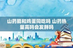 山药能和鸡蛋同吃吗 山药热量高吗会发胖吗