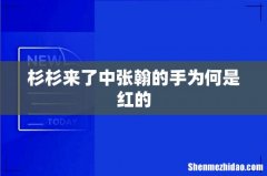 杉杉来了中张翰的手为何是红的