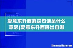 爱意东升西落出自哪- 爱意东升西落这句话是什么意思