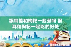 银耳能和枸杞一起煮吗 银耳和枸杞一起吃的好处