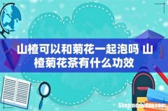 山楂可以和菊花一起泡吗 山楂菊花茶有什么功效