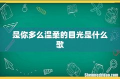 是你多么温柔的目光是什么歌