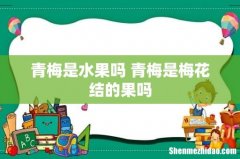 青梅是水果吗 青梅是梅花结的果吗
